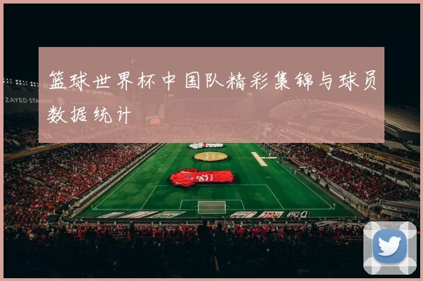 篮球世界杯中国队精彩集锦与球员数据统计