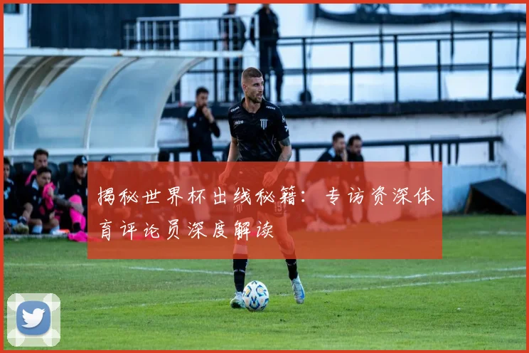 揭秘世界杯出线秘籍：专访资深体育评论员深度解读