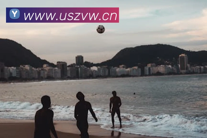 leyu乐鱼网页版登录入口发展历程